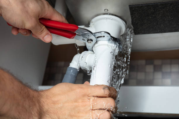 Best Water damage contractors near me  in Webster, SD