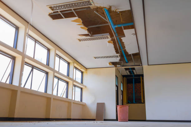  Webster, SD Water damage restoration Pros