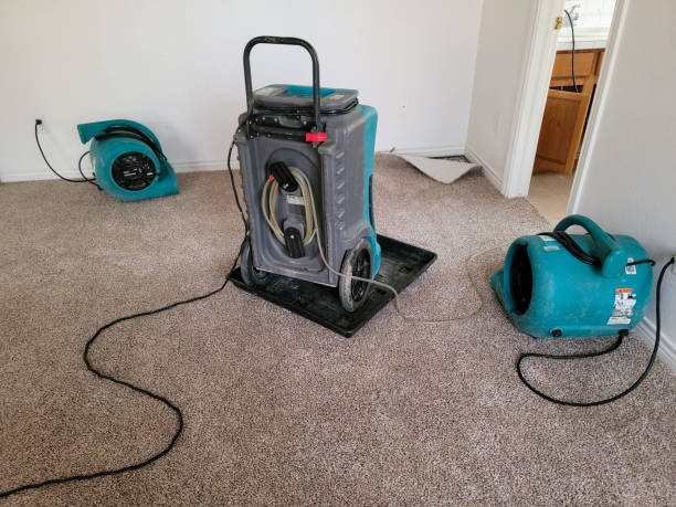 Best Emergency water damage restoration  in Webster, SD