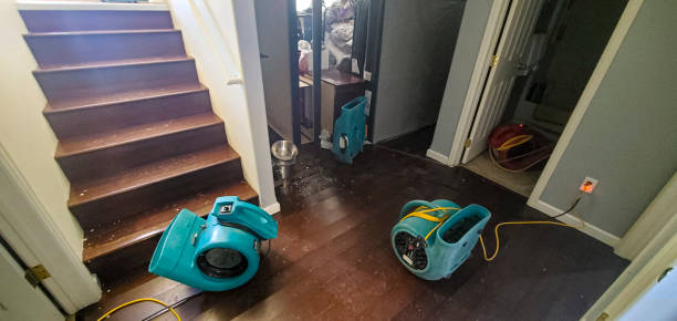 Best Residential water damage restoration  in Webster, SD