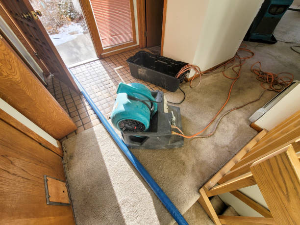 Best Local water damage restoration  in Webster, SD