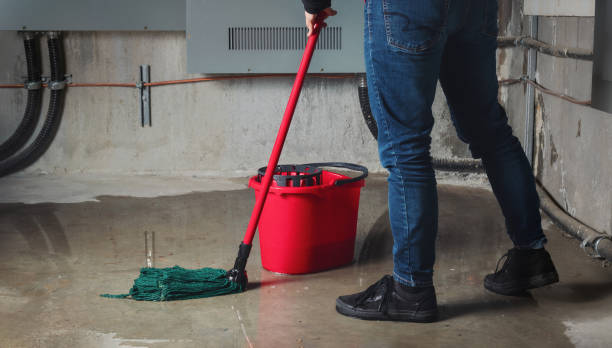 Best Flooded house restoration  in Webster, SD