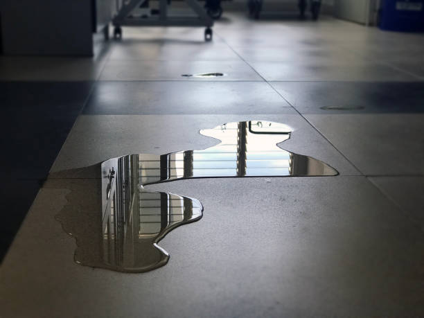 Best Commercial water damage restoration  in Webster, SD
