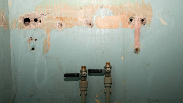 Best Ceiling water damage repair  in Webster, SD