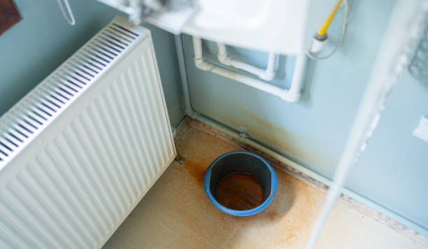 Best Commercial water damage restoration  in Webster, SD