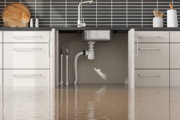 Best Ceiling water damage repair  in Webster, SD