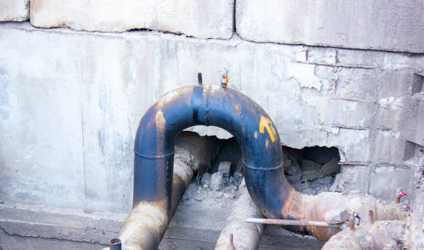 Best Flood restoration services  in Webster, SD