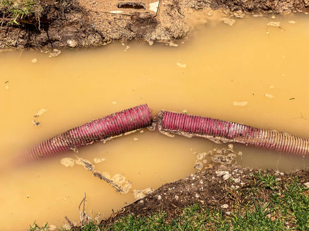 Trusted Webster, SD Water damage restoration Experts