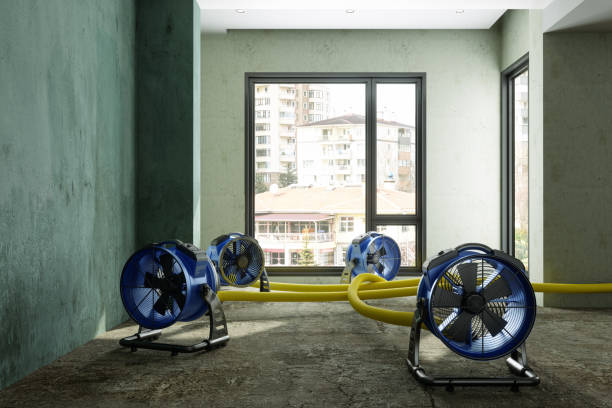 Best Basement water damage restoration  in Webster, SD