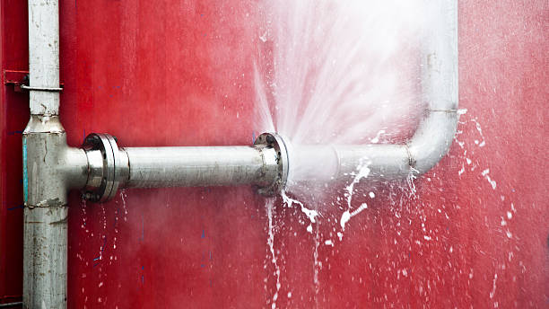 Best Water damage cleanup near me  in Webster, SD