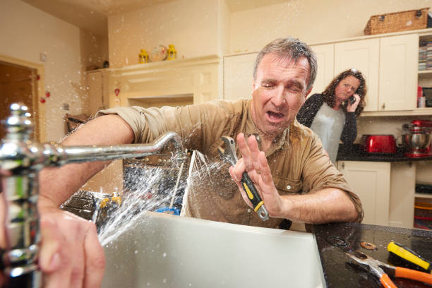 Best Flooded house restoration  in Webster, SD